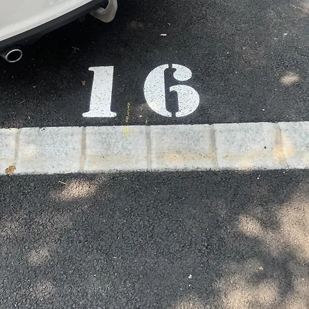 Cactus شقة سيغيد